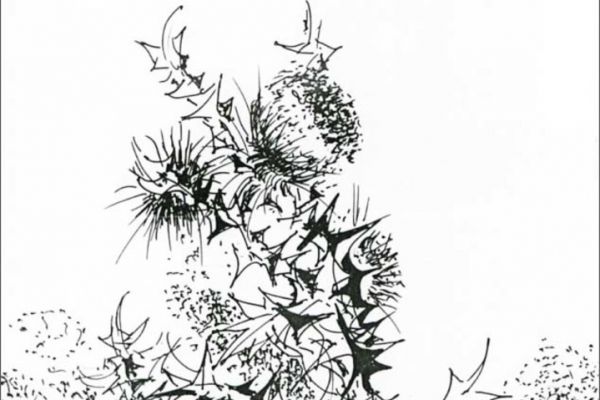 es382B294596-89E7-426D-A79C-B66009F1B83B.jpg