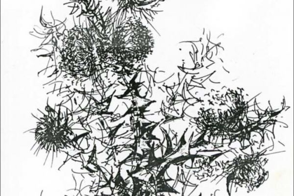 es394EB48710-7A6C-4E36-8451-82EBFBDB1F56.jpg