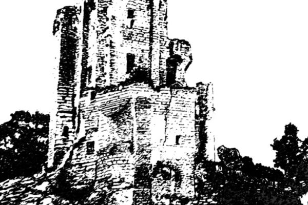 fametszet-1ED7CA877-B1A5-41D2-AEB2-C5F20EF1A0AD.jpg